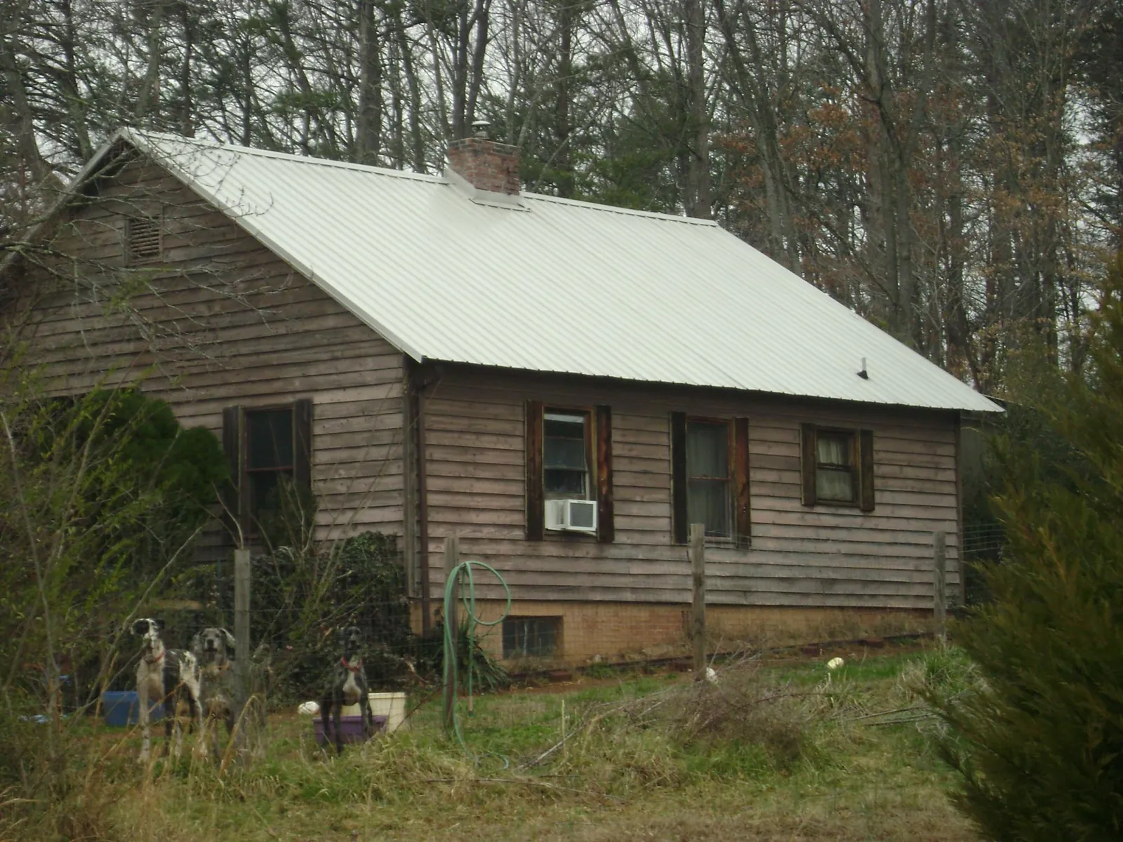 White metal roof on an old wood sided farmhouse, from a Asphalt Shingle Roof Repair job in Broadbent